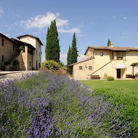 Agroturismo Ripa Relais Colle Del Sole