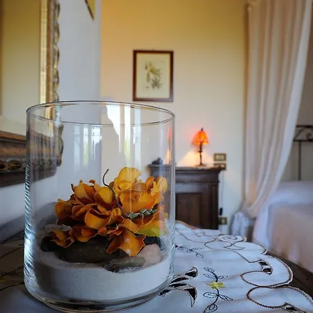 Ripa Relais Colle Del Sole בית חווה *